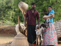பில்லா பாண்டி