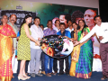 யானைமேல் குதிரை சவாரி